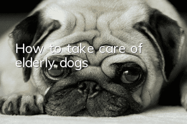 How to take care of elderly dogs?