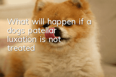 What will happen if a dog’s patellar luxation is not treated?