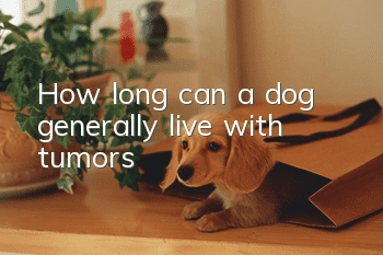 How long can a dog generally live with tumors?
