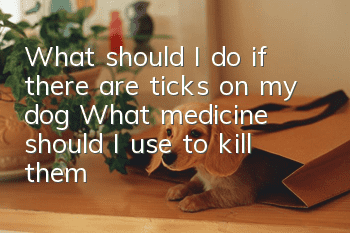 What should I do if there are ticks on my dog? What medicine should I use to kill them?