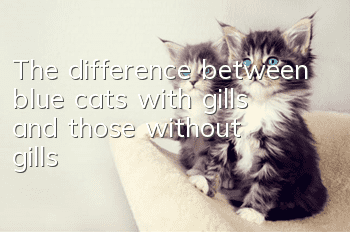 The difference between blue cats with gills and those without gills