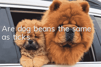 Are dog beans the same as ticks?