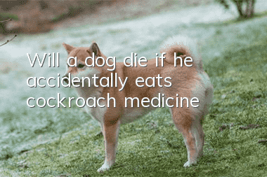 Will a dog die if he accidentally eats cockroach medicine?
