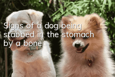 Signs of a dog being stabbed in the stomach by a bone