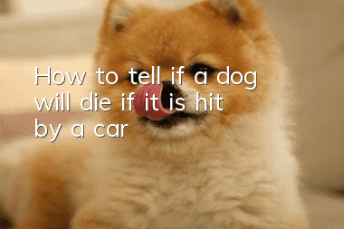 How to tell if a dog will die if it is hit by a car?