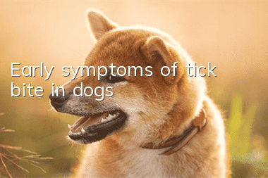 Early symptoms of tick bite in dogs