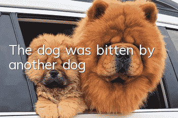 The dog was bitten by another dog
