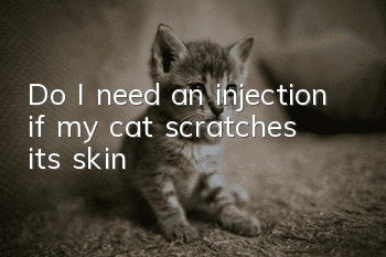 Do I need an injection if my cat scratches its skin?