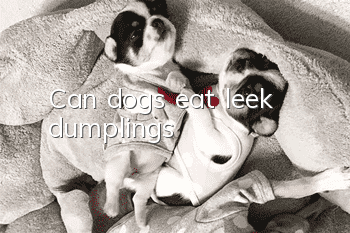 Can dogs eat leek dumplings?