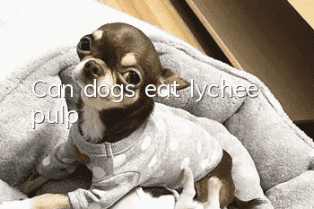 Can dogs eat lychee pulp?