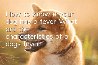 How to know if your dog has a fever? What are the characteristics of a dog’s fever?