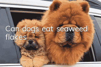Can dogs eat seaweed flakes?