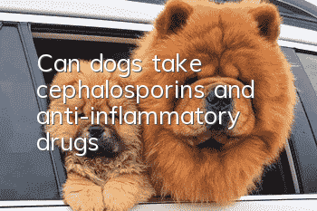 Can dogs take cephalosporins and anti-inflammatory drugs?