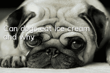 Can dogs eat ice cream and why?