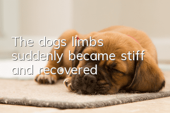 The dog's limbs suddenly became stiff and recovered