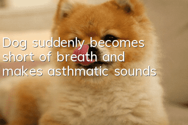 Dog suddenly becomes short of breath and makes asthmatic sounds