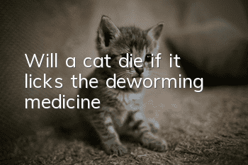 Will a cat die if it licks the deworming medicine?