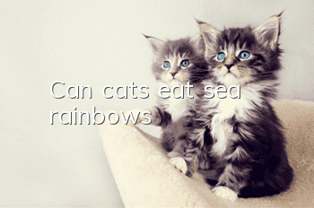 Can cats eat sea rainbows?