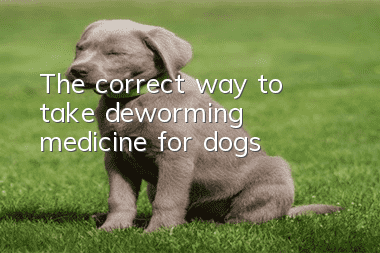The correct way to take deworming medicine for dogs