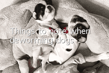 Things to note when deworming dogs