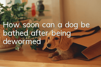 How soon can a dog be bathed after being dewormed?