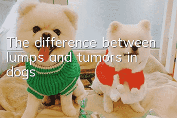 The difference between lumps and tumors in dogs
