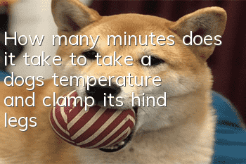 How many minutes does it take to take a dog’s temperature and clamp its hind legs?