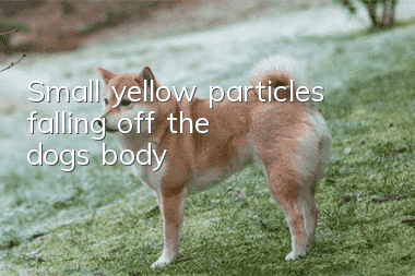 Small yellow particles falling off the dog’s body