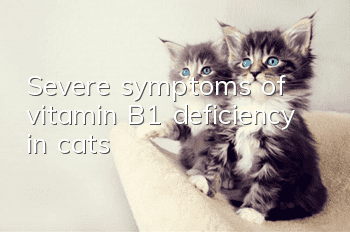 Severe symptoms of vitamin B1 deficiency in cats