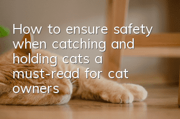 How to ensure safety when catching and holding cats, a must-read for cat owners!