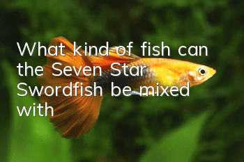 What kind of fish can the Seven Star Swordfish be mixed with?