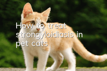 How to treat strongyloidiasis in pet cats?