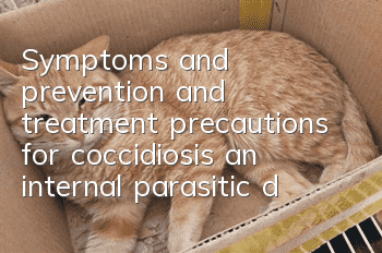 Symptoms and prevention and treatment precautions for coccidiosis, an internal parasitic disease in cats