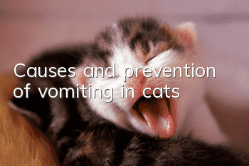 Causes and prevention of vomiting in cats