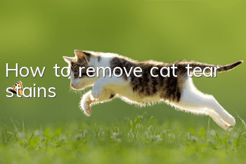How to remove cat tear stains?