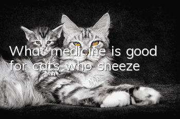 What medicine is good for cats who sneeze?
