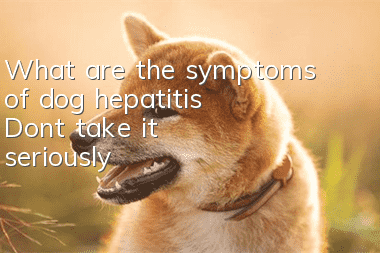 What are the symptoms of dog hepatitis? Don’t take it seriously!