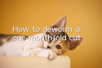How to deworm a one-month-old cat?