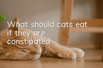 What should cats eat if they are constipated?