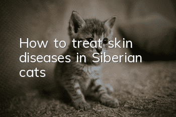 How to treat skin diseases in Siberian cats?