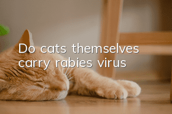 Do cats themselves carry rabies virus?