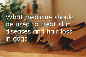 What medicine should be used to treat skin diseases and hair loss in dogs?