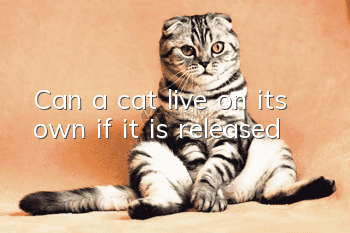 Can a cat live on its own if it is released?