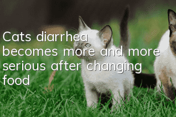 Cat's diarrhea becomes more and more serious after changing food