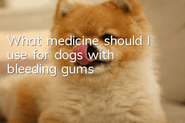 What medicine should I use for dogs with bleeding gums?