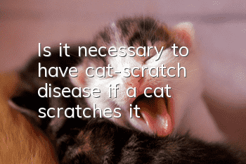 Is it necessary to have cat-scratch disease if a cat scratches it?
