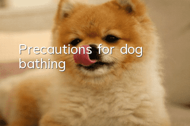 Precautions for dog bathing