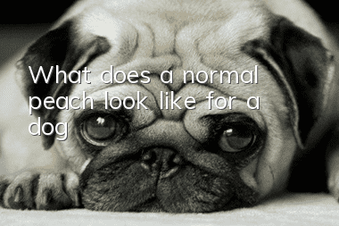 What does a normal peach look like for a dog?