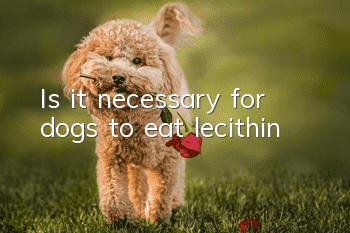 Is it necessary for dogs to eat lecithin?
