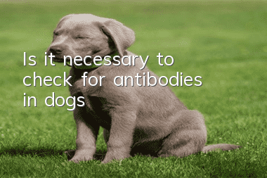 Is it necessary to check for antibodies in dogs?